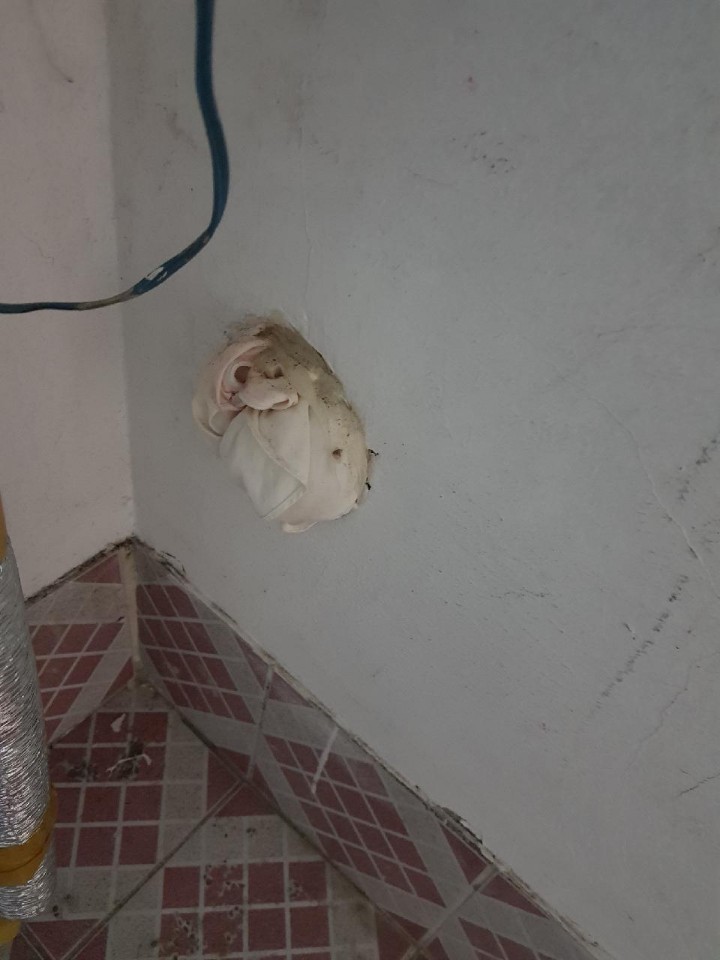 KakaoTalk_20180419_193757552.jpg